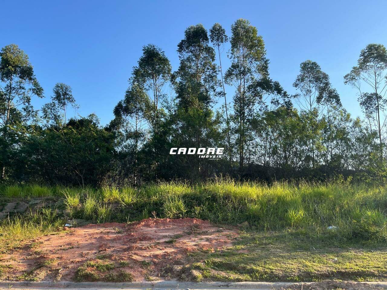 Terrenos Privilège Condomínio Parque - Condomínio Fechado - Bairro Ponta Aguda - Blumenau/SC. — foto 5