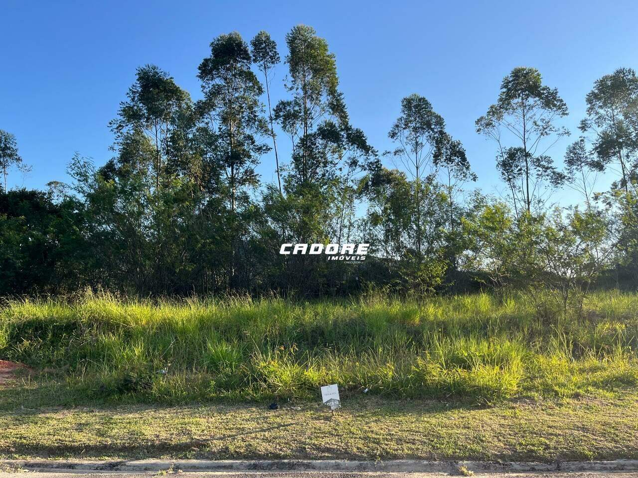 Terrenos Privilège Condomínio Parque - Condomínio Fechado - Bairro Ponta Aguda - Blumenau/SC. — foto 3