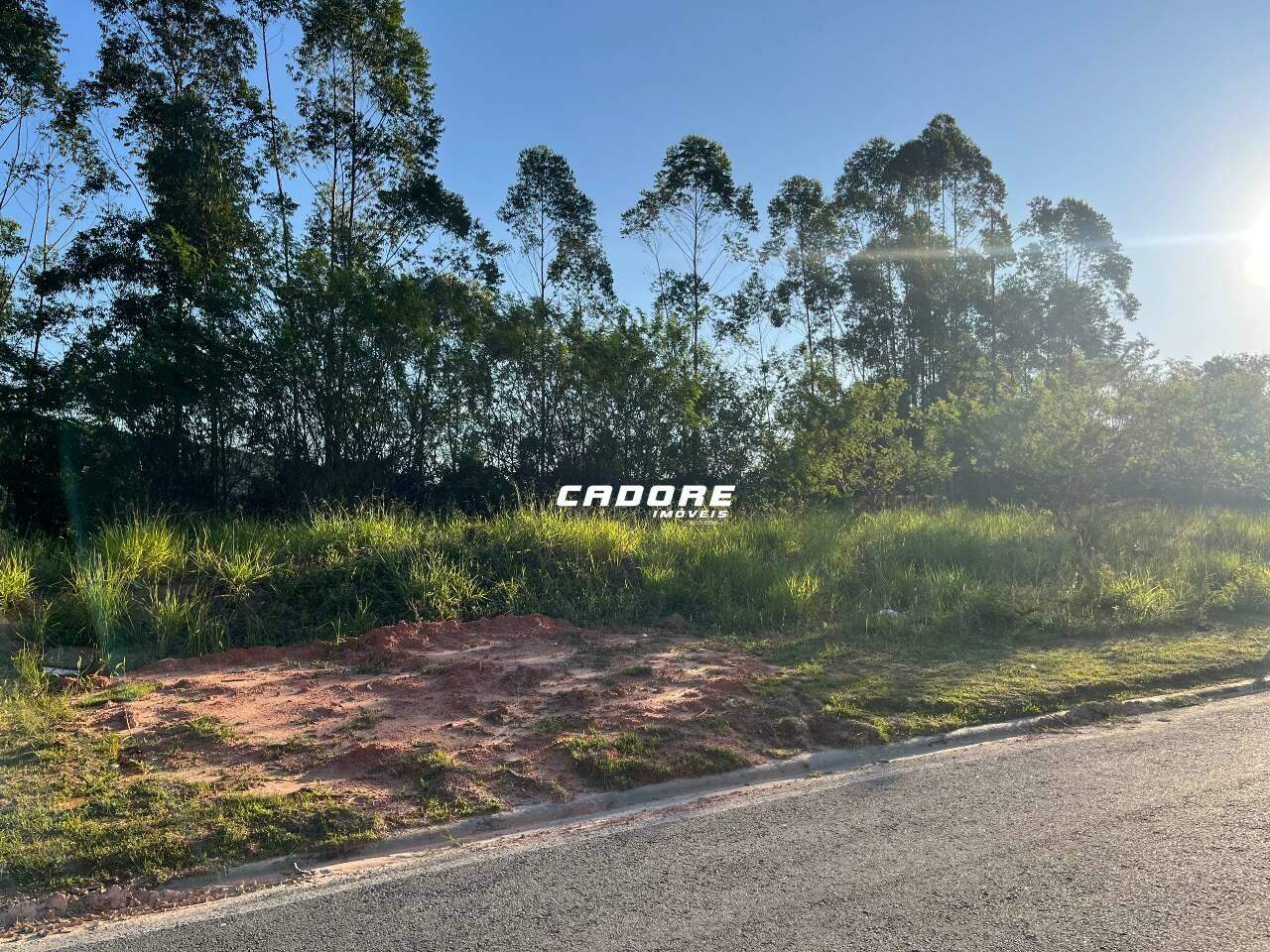 Terrenos Privilège Condomínio Parque - Condomínio Fechado - Bairro Ponta Aguda - Blumenau/SC. — foto 4