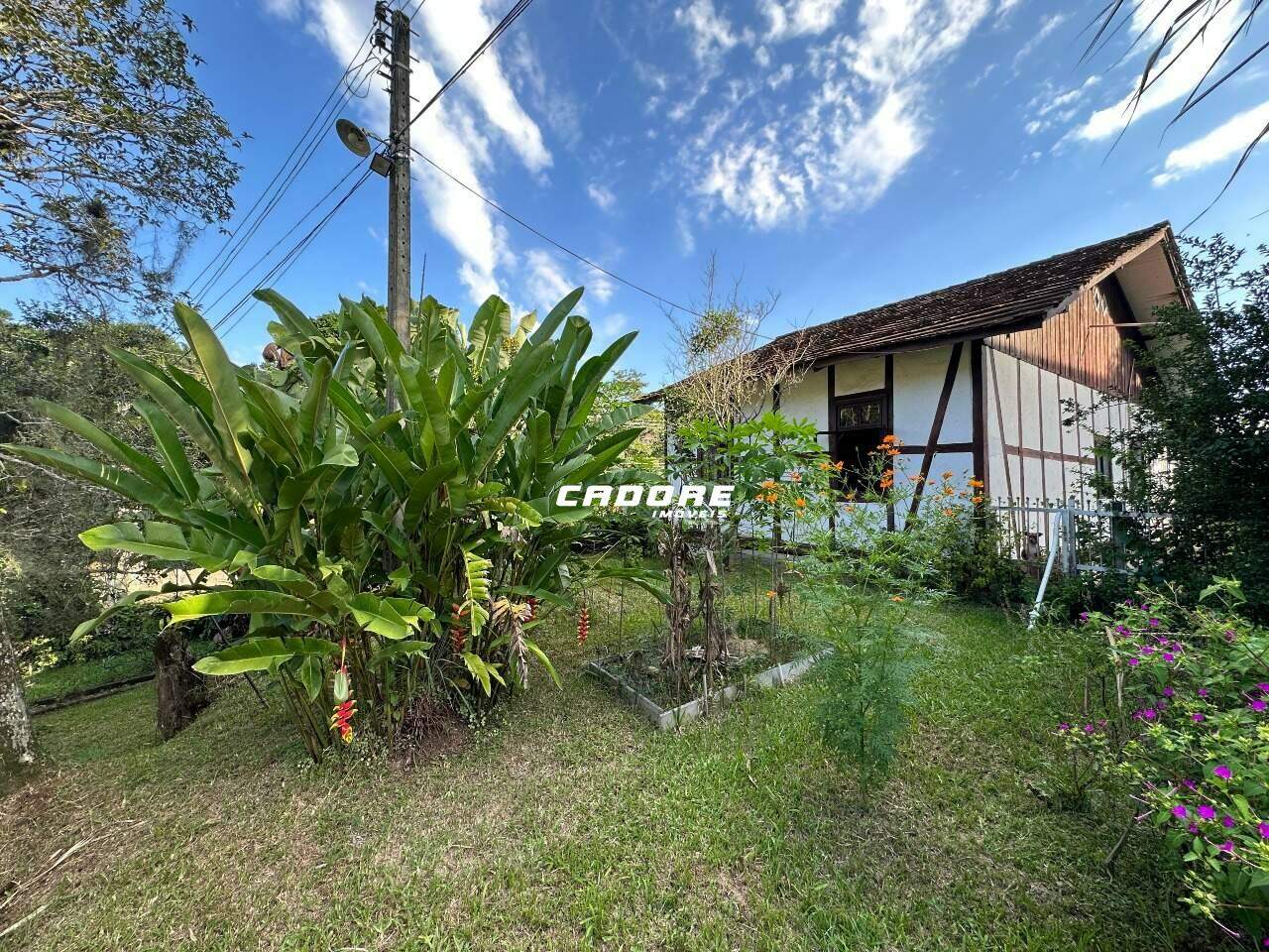 Terreno Residencial/Comercial A Venda - Bairro Progresso Blumenau SC - foto 1