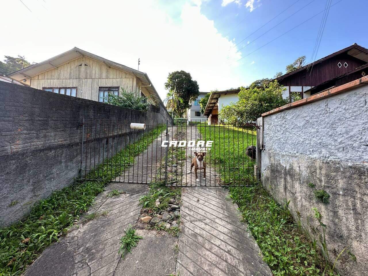 Terreno Residencial/Comercial A Venda - Bairro Progresso Blumenau SC — foto 7