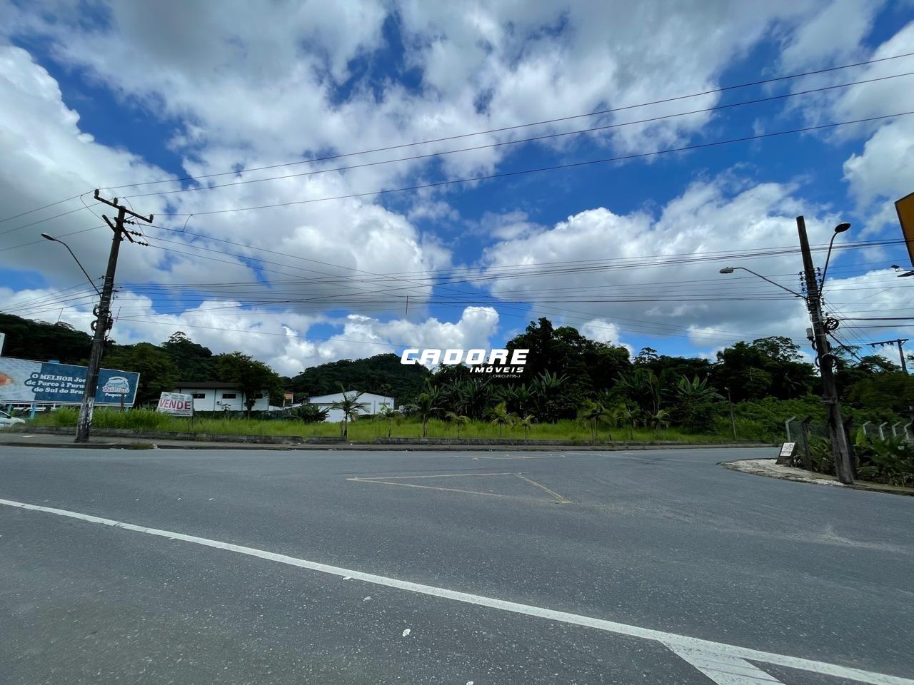 Oportunidade Única: Terreno Espetacular na Itoupavazinha - 13.550,05 m I Cadore Imóveis — foto 6