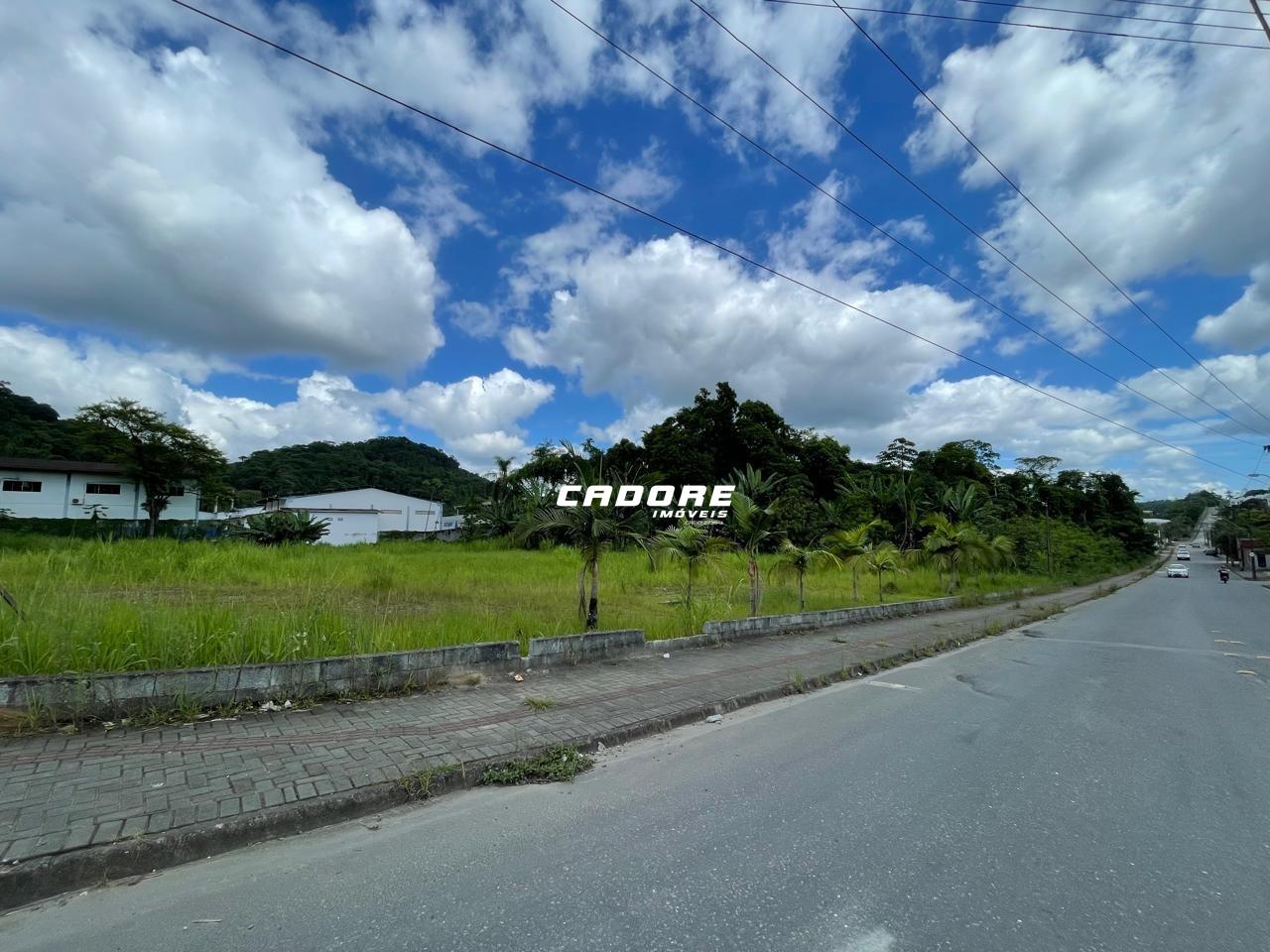 Oportunidade Única: Terreno Espetacular na Itoupavazinha - 13.550,05 m I Cadore Imóveis — foto 3