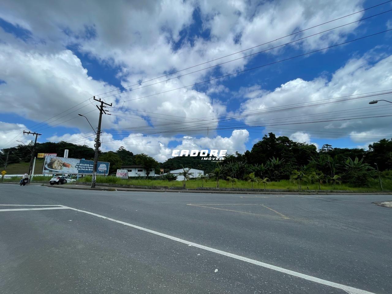 Oportunidade Única: Terreno Espetacular na Itoupavazinha - 13.550,05 m I Cadore Imóveis — foto 5