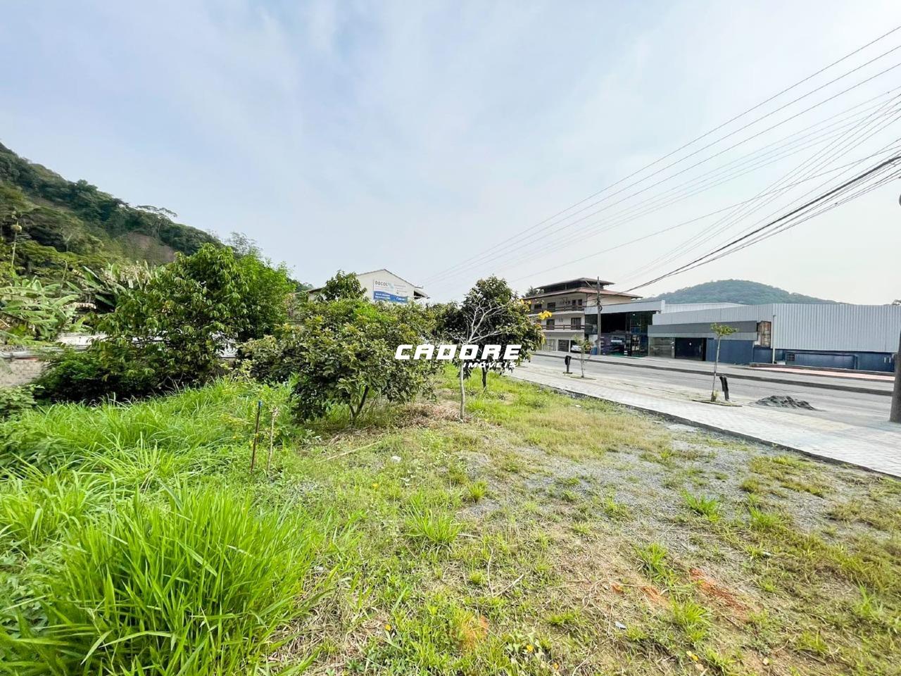 Excelente Terreno à Venda em Localização Privilegiada - Ponta Aguda I Cadore Imóveis - foto 1