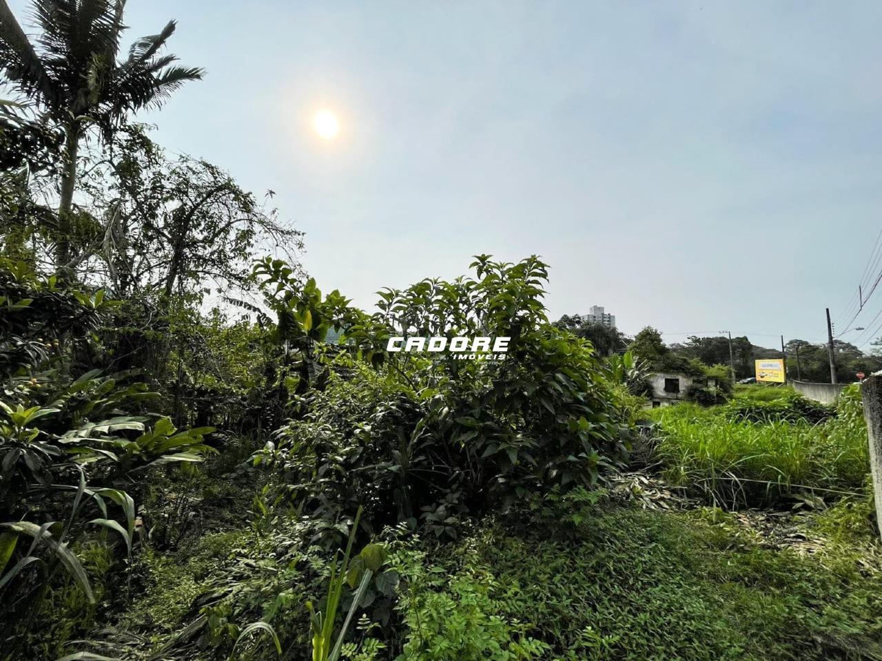 Excelente Terreno à Venda em Localização Privilegiada - Ponta Aguda I Cadore Imóveis — foto 6