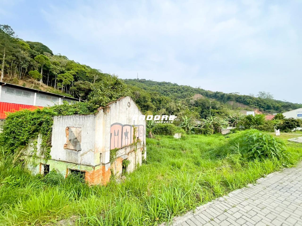 Excelente Terreno à Venda em Localização Privilegiada - Ponta Aguda I Cadore Imóveis — foto 5