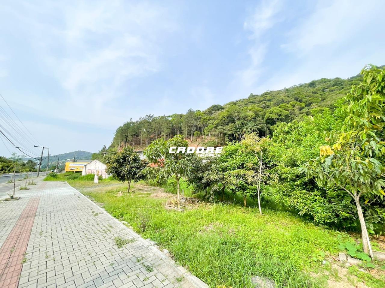 Excelente Terreno à Venda em Localização Privilegiada - Ponta Aguda I Cadore Imóveis — foto 3