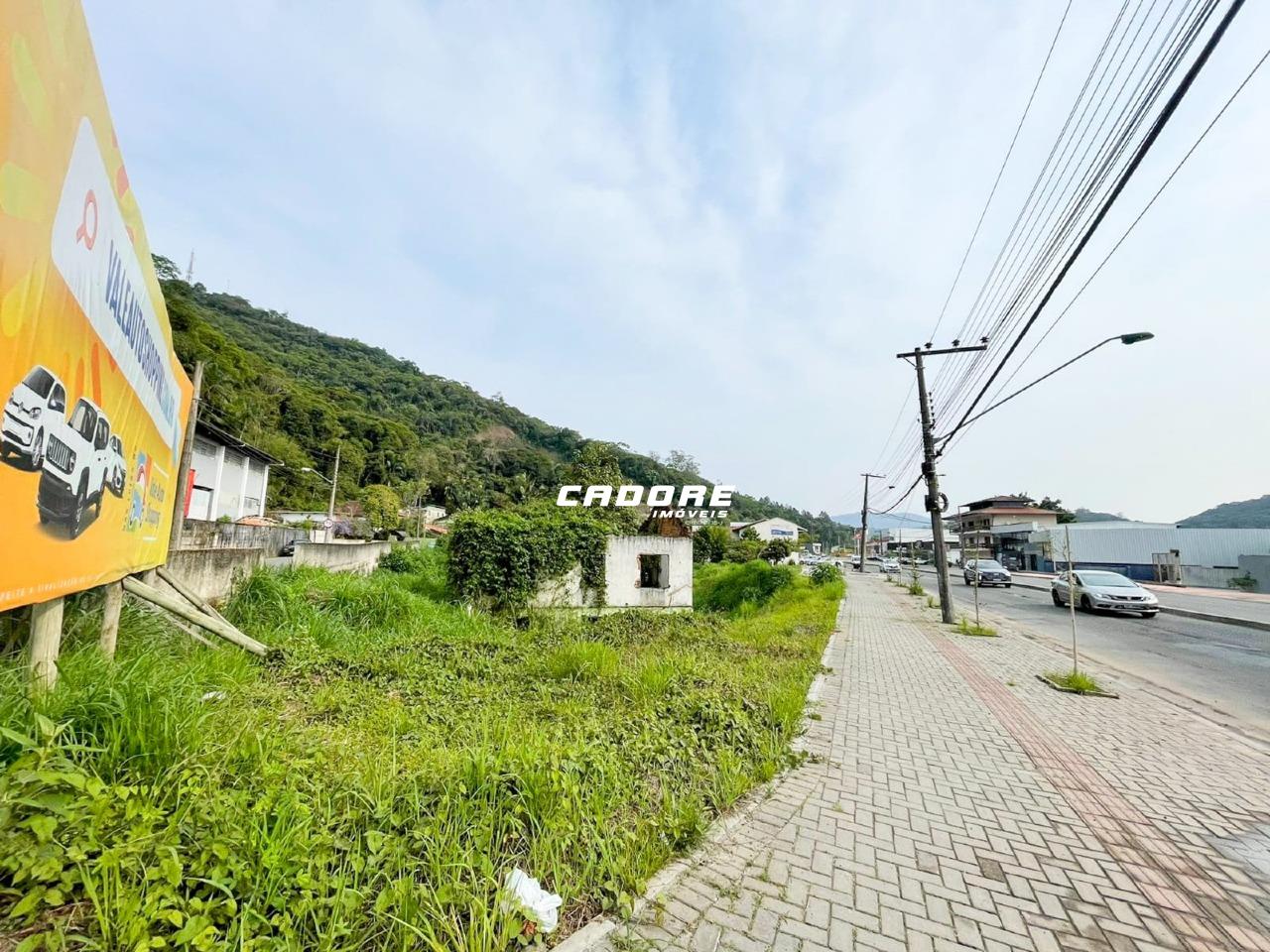 Excelente Terreno à Venda em Localização Privilegiada - Ponta Aguda I Cadore Imóveis — foto 4