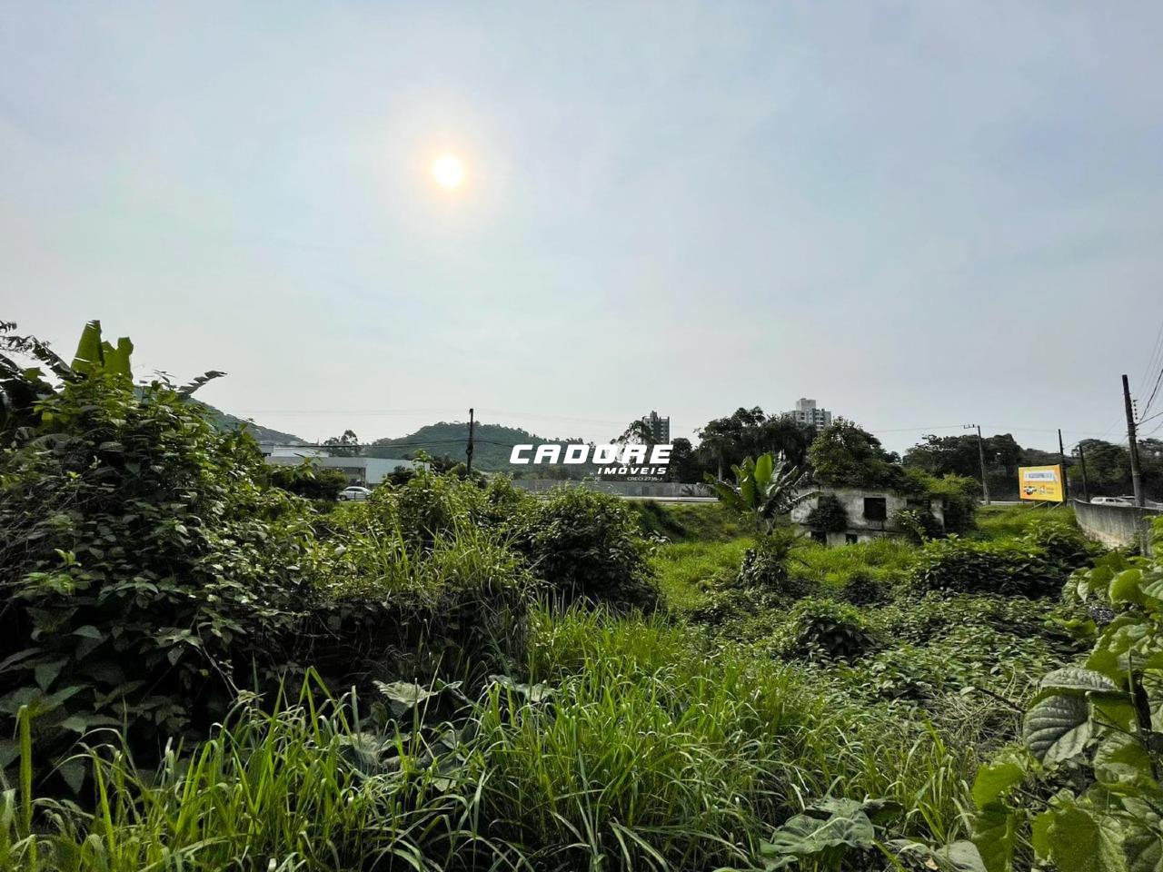 Excelente Terreno à Venda em Localização Privilegiada - Ponta Aguda I Cadore Imóveis — foto 7