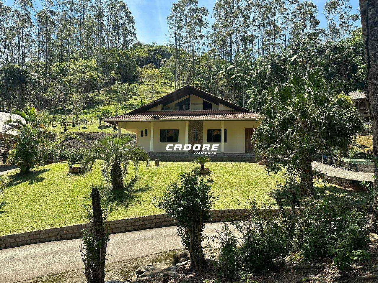 Sítio a Venda Bairro Progresso - Blumenau - SC - foto 1