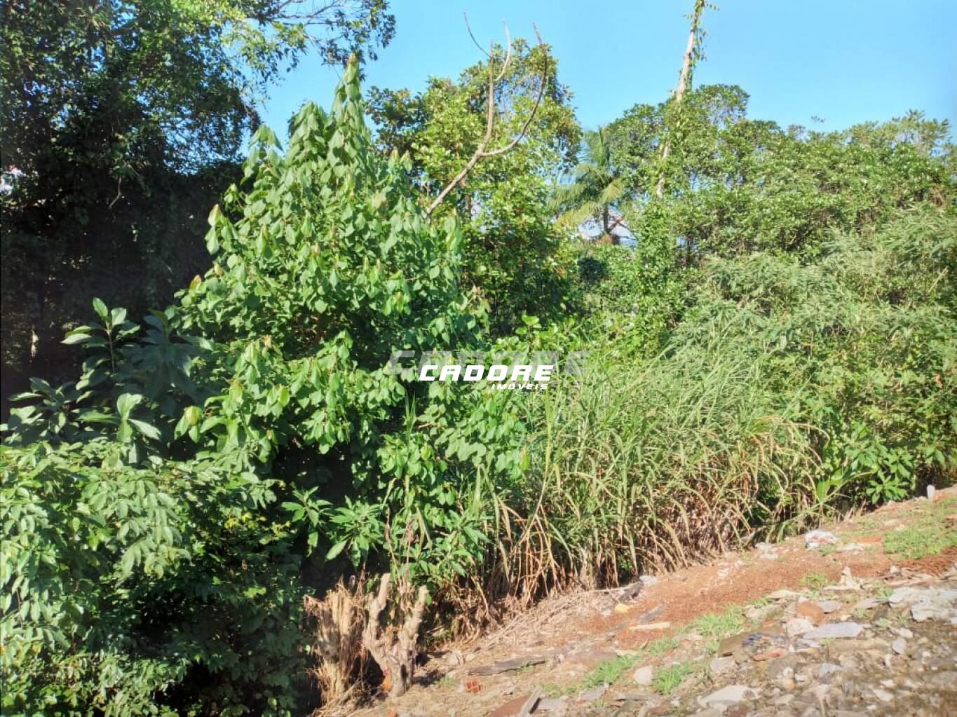 Terreno - 612,5m - Bairro Itoupava Norte - Blumenau/SC. — foto 4