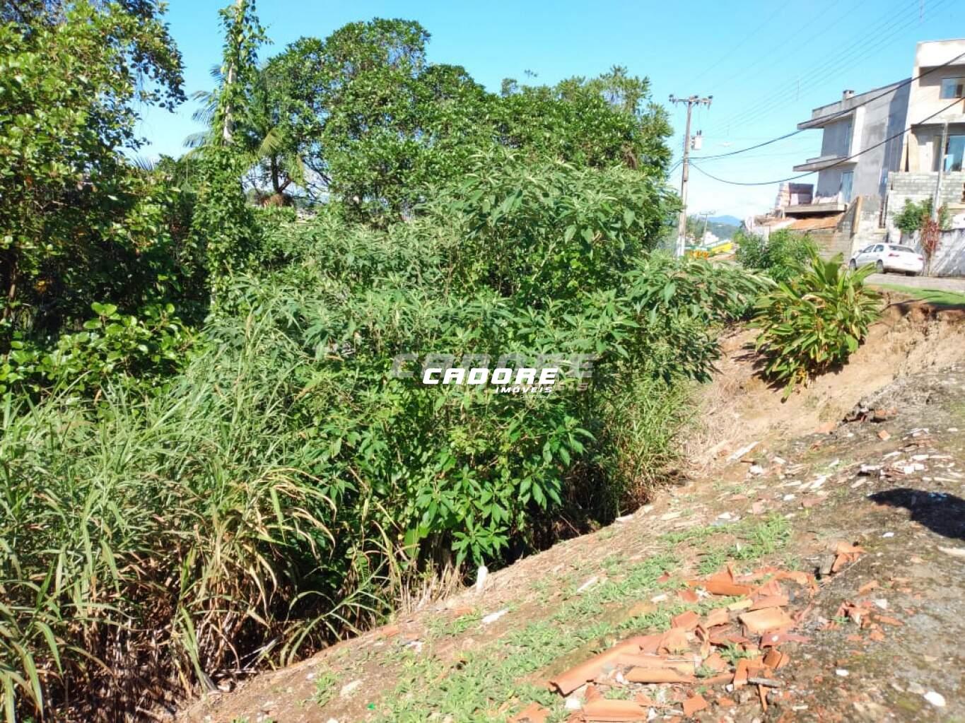 Terreno - 612,5m - Bairro Itoupava Norte - Blumenau/SC. — foto 5