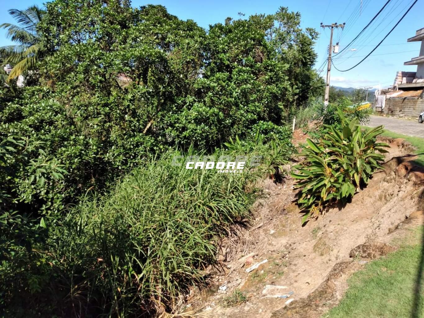 Terreno - 612,5m - Bairro Itoupava Norte - Blumenau/SC. — foto 6