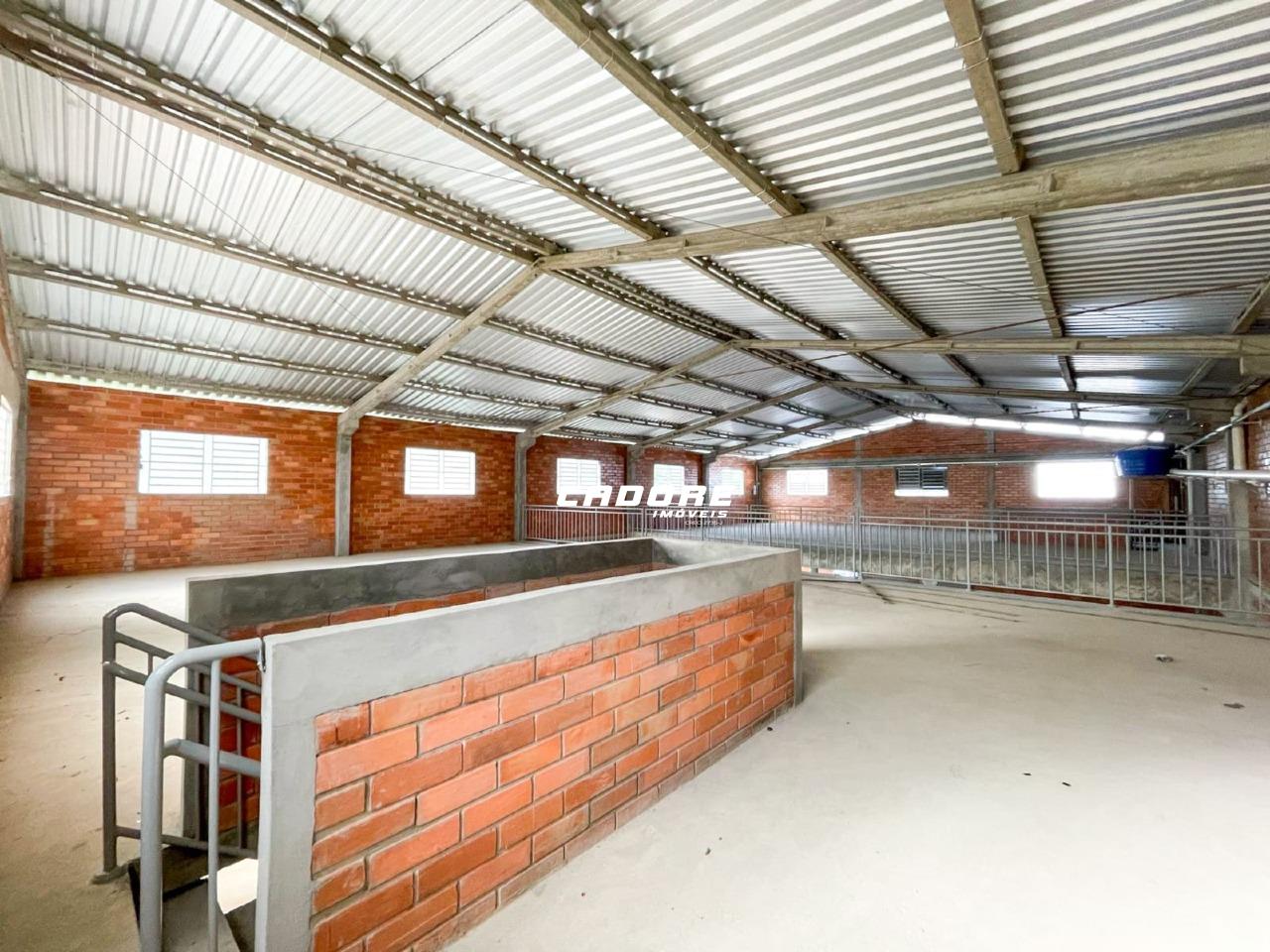Galpão com aproximadamente 730m para locação no bairro Itoupava Seca I Cadore Imóveis — foto 2