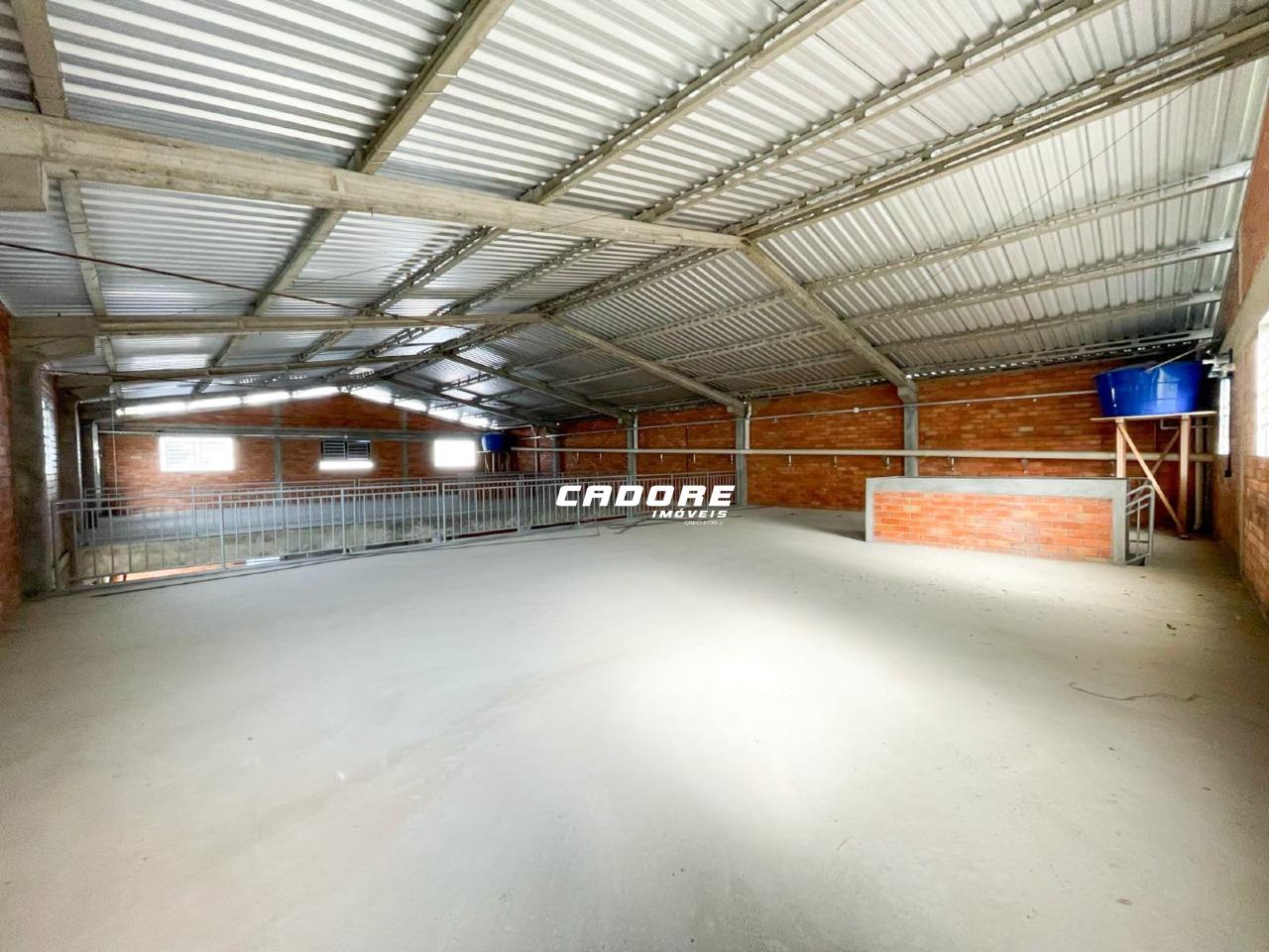 Galpão com aproximadamente 730m para locação no bairro Itoupava Seca I Cadore Imóveis - foto 1