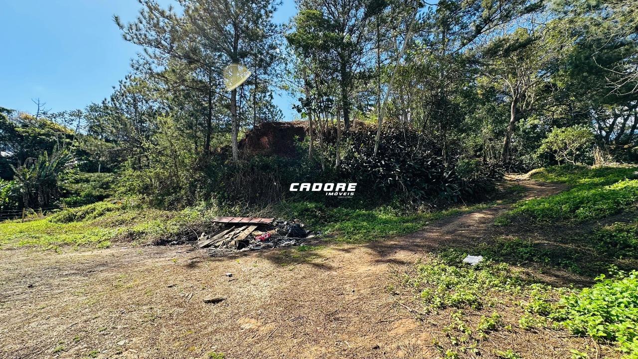 Terreno à venda na Itoupava Norte - Blumenau — foto 7