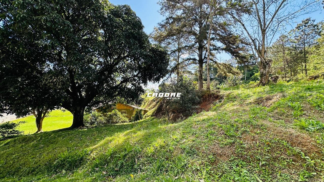 Terreno à venda na Itoupava Norte - Blumenau — foto 6