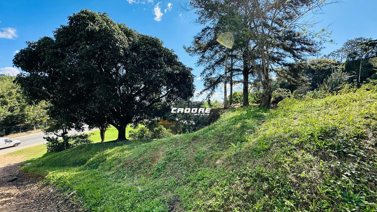 Terreno à venda na Itoupava Norte - Blumenau — foto 4