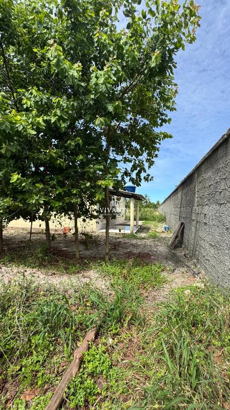 Sítio à venda no Patacas: 