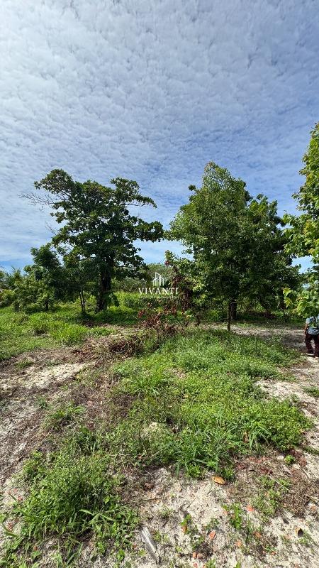 Sítio à venda no Patacas: 