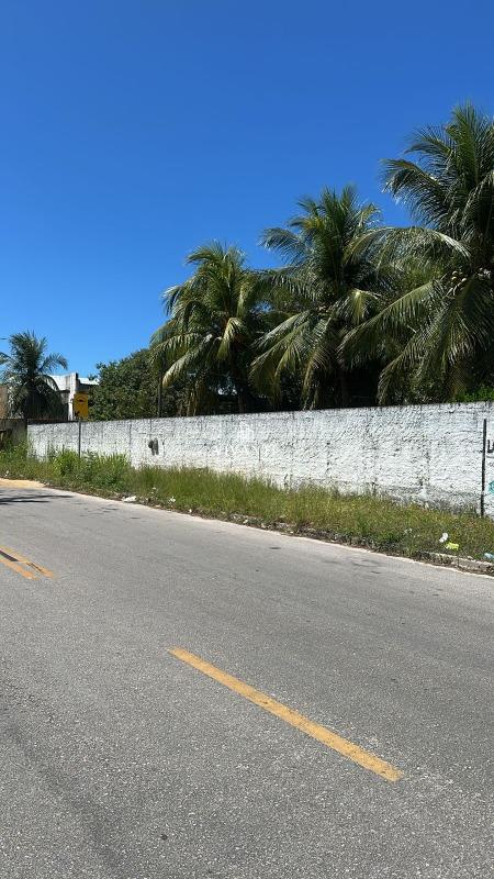Terreno à venda no Mangabeira: 