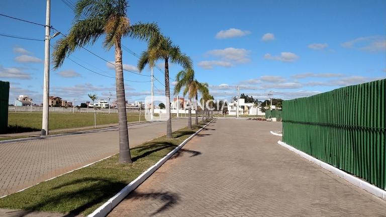 Terreno à venda no Camobi: 