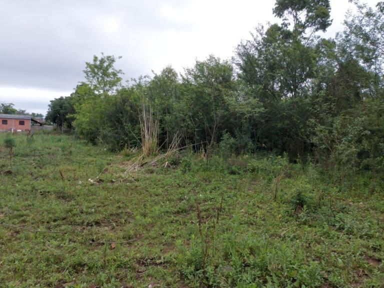 Terreno à venda no Camobi: 