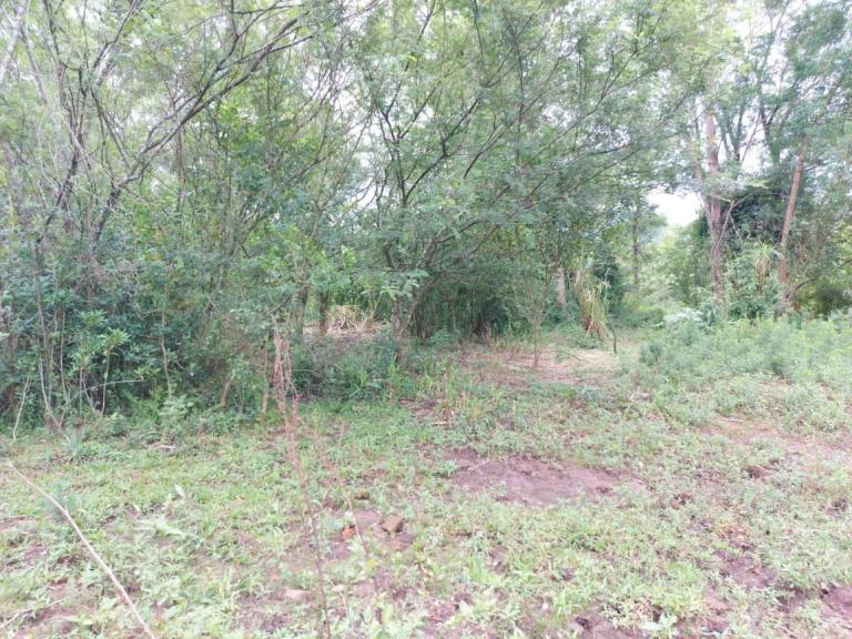 Terreno à venda no Camobi: 