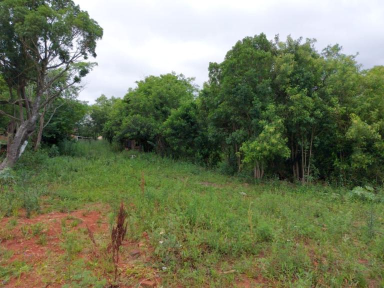 Terreno à venda no Camobi: 