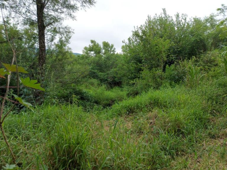 Terreno à venda no Camobi: 