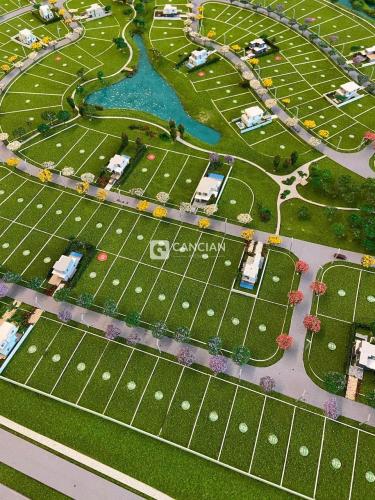 Terreno à venda no Tomazetti: 