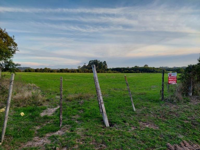 Terreno à venda no Tomazetti: 