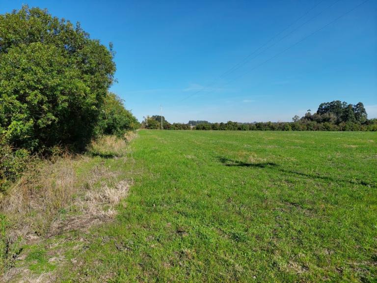 Terreno à venda no Tomazetti: 
