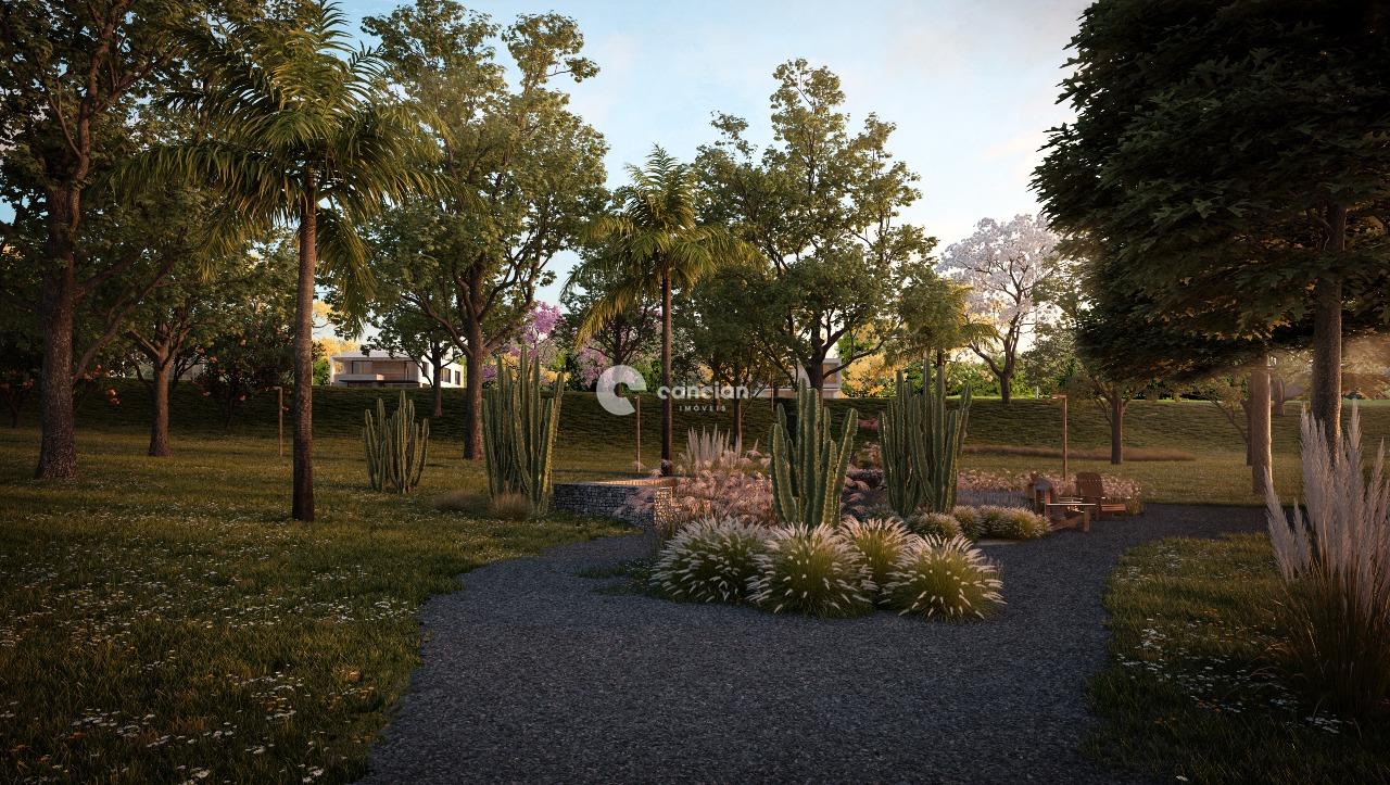 Terreno à venda no Tomazetti: