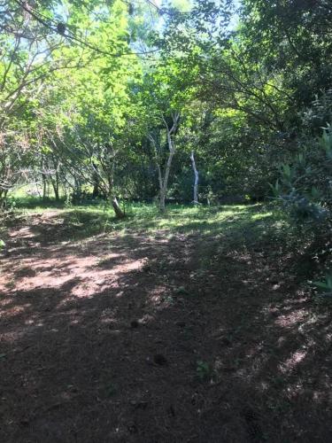 Terreno à venda no Cerrito: 