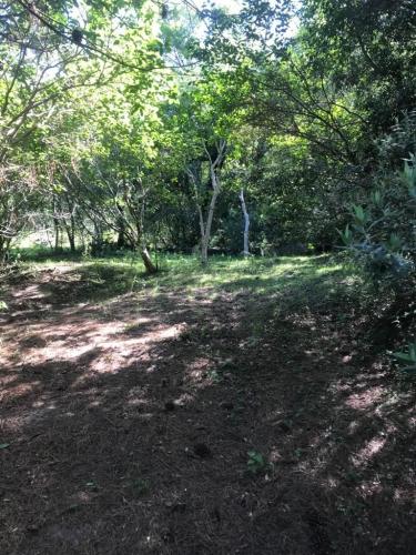 Terreno à venda no Cerrito: 