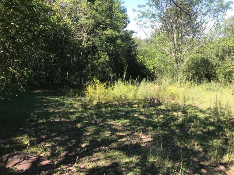 Terreno à venda no Cerrito: 