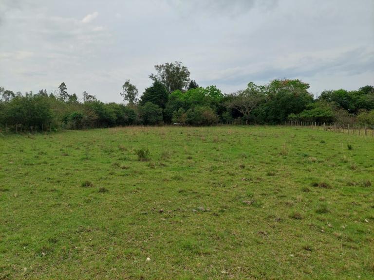 Terreno à venda no Diácono João Luiz Pozzobon: