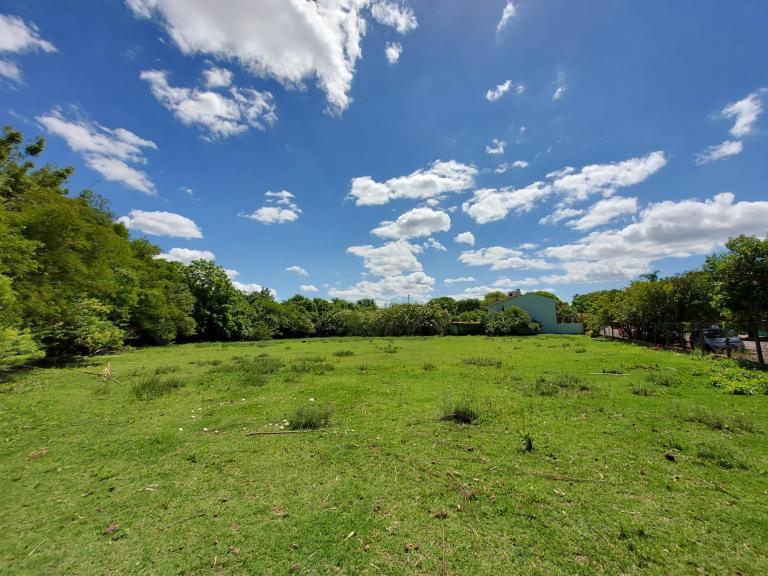 Terreno à venda no Noal: 