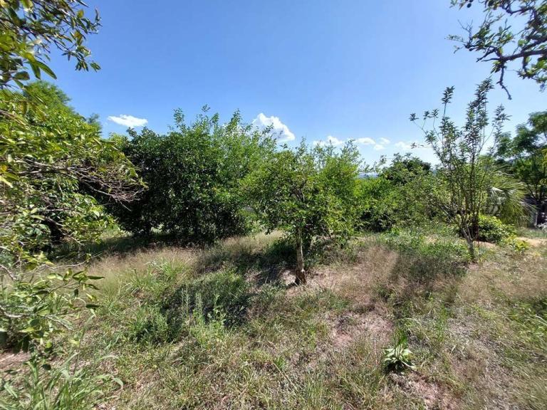 Terreno à venda no Nossa Senhora do Perpétuo Socorro: