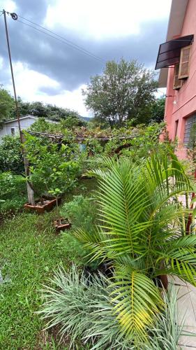 Casa à venda no Caturrita: 