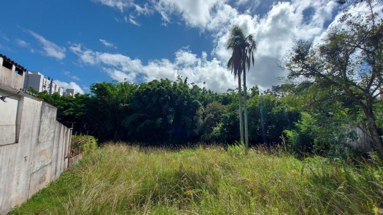 Terreno à venda no Nossa Senhora das Dores: 