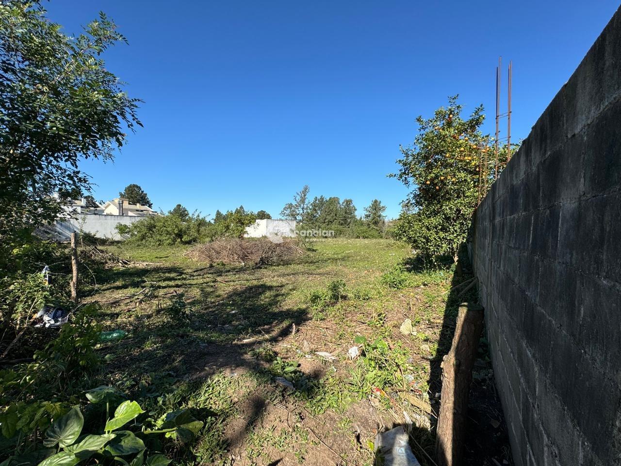 Terreno à venda no Diácono João Luiz Pozzobon: 