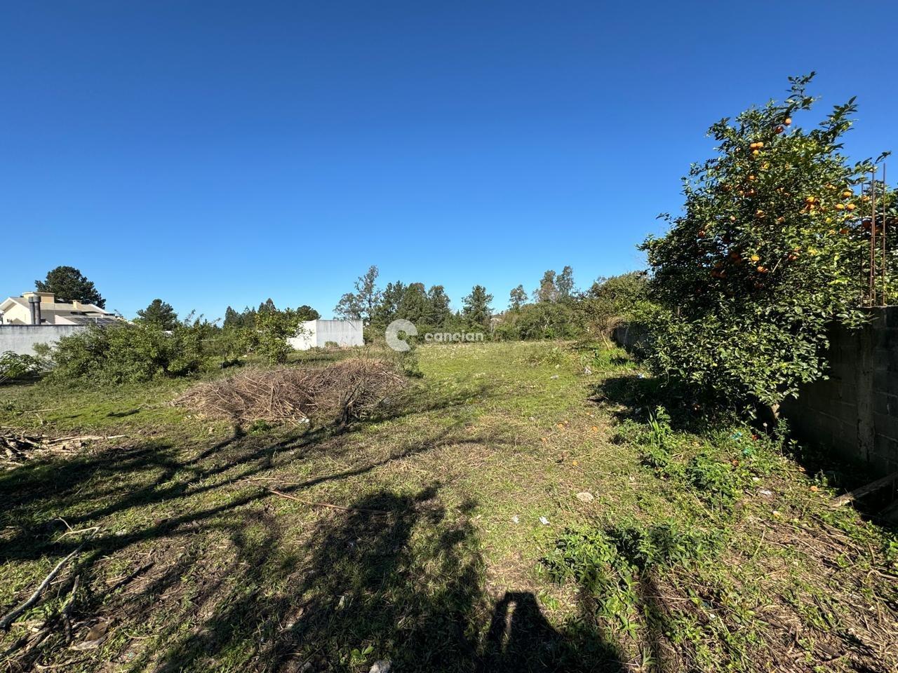Terreno à venda no Diácono João Luiz Pozzobon: 
