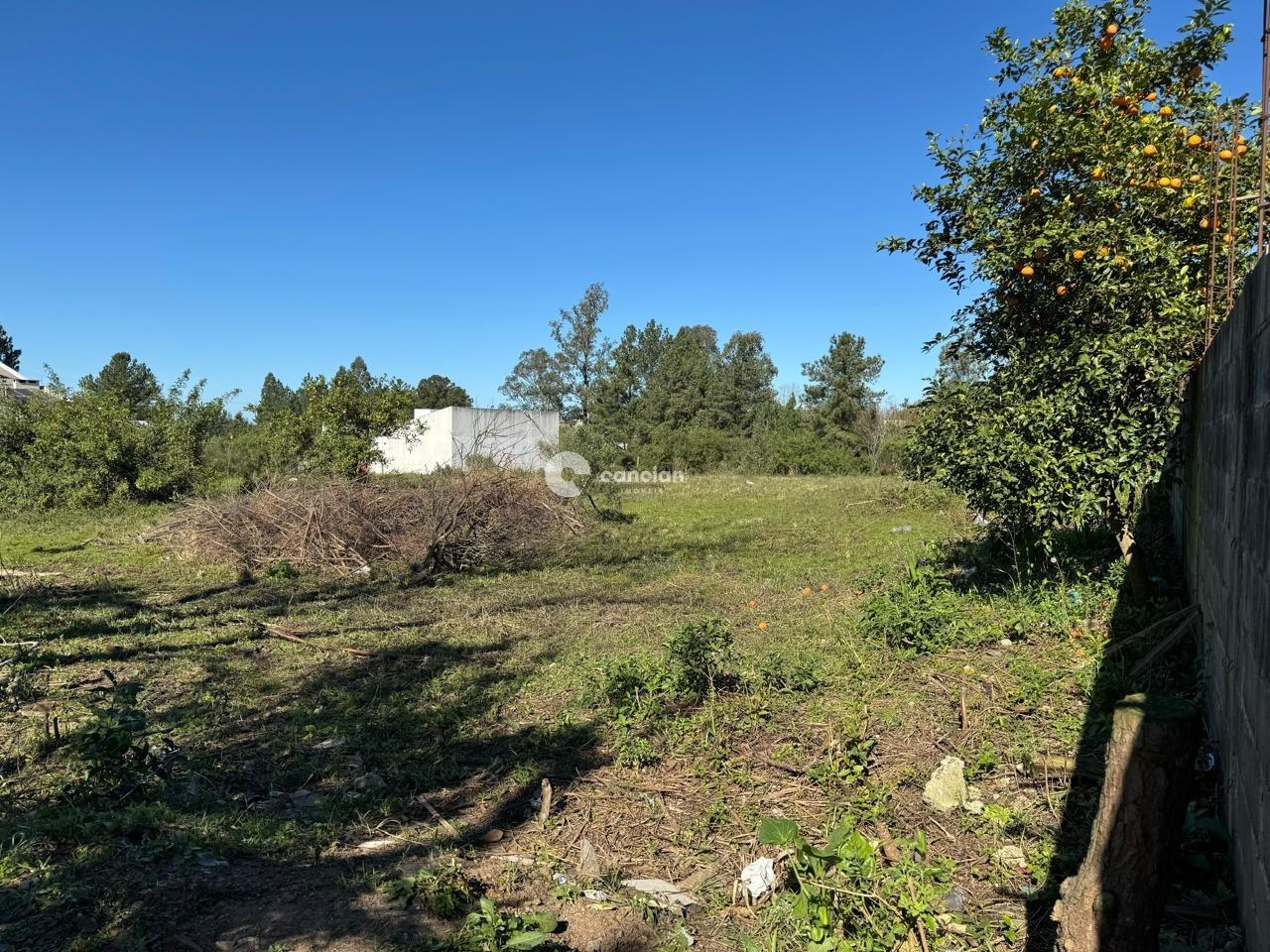 Terreno à venda no Diácono João Luiz Pozzobon: 