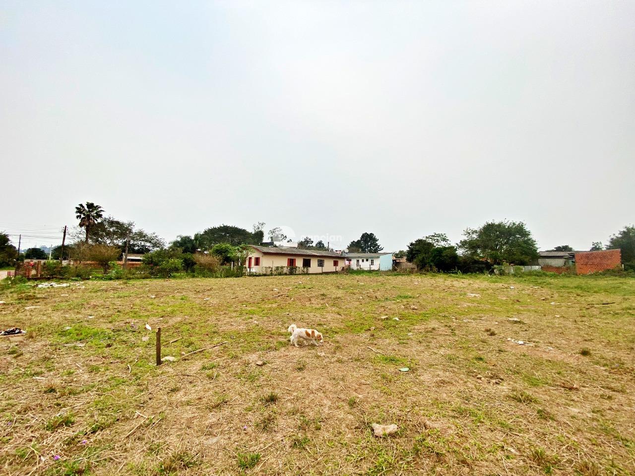 Terreno à venda no Diácono João Luiz Pozzobon: 