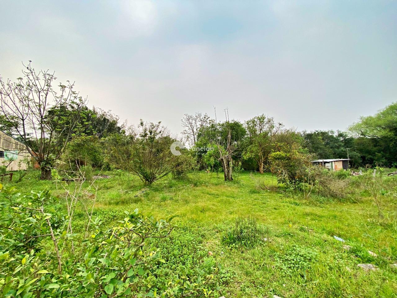 Terreno à venda no Diácono João Luiz Pozzobon: 