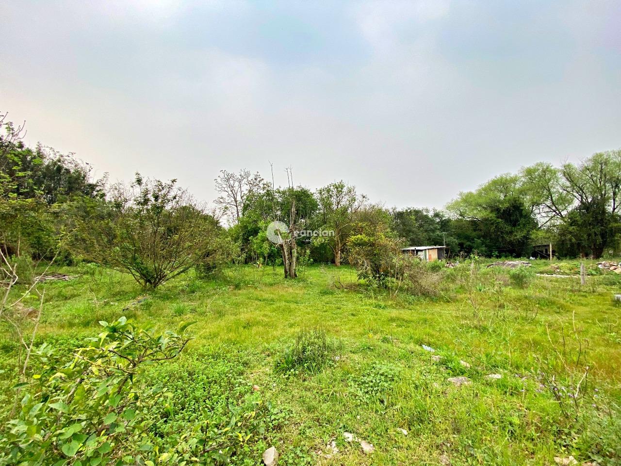 Terreno à venda no Diácono João Luiz Pozzobon: 