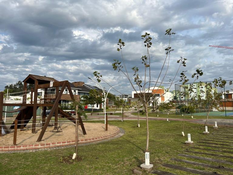 Terreno à venda no Camobi: 